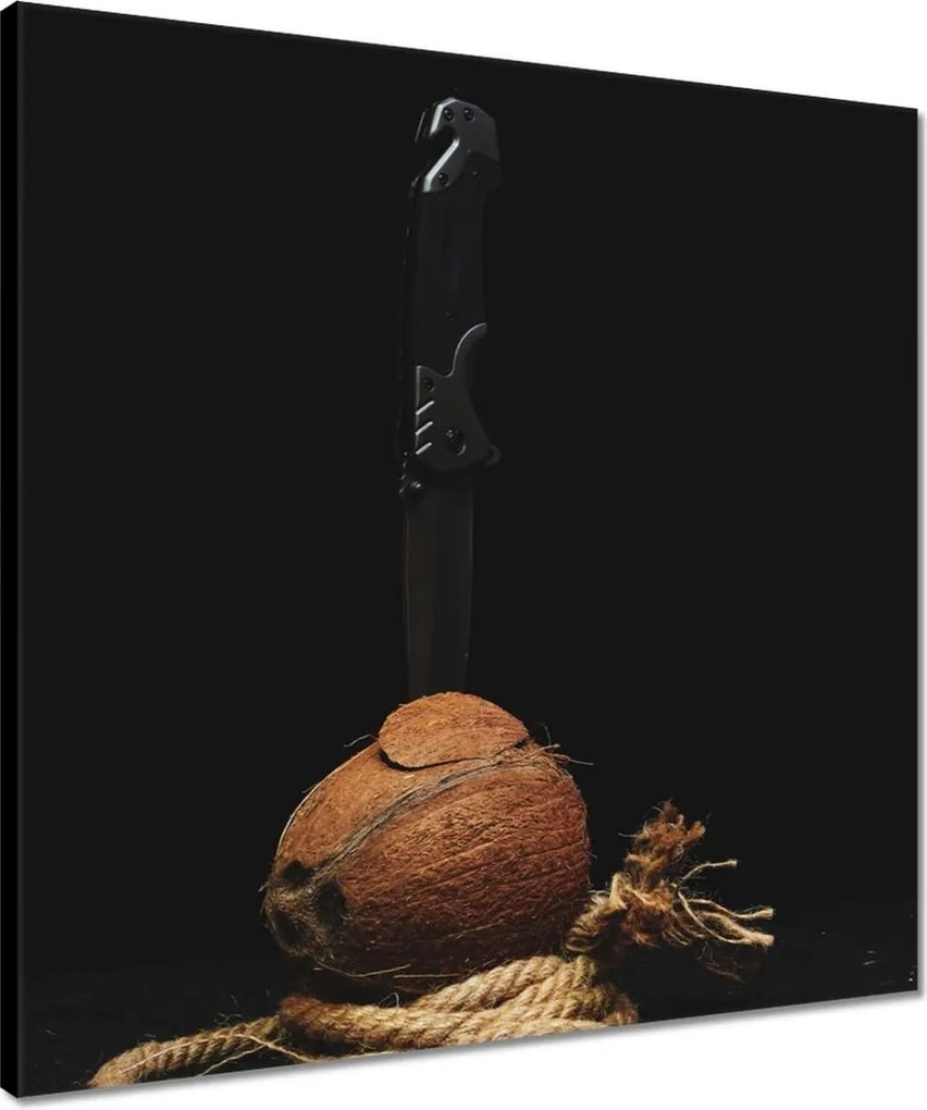 Vászonkép 50x50 Kókuszba szúrt kés zsinór