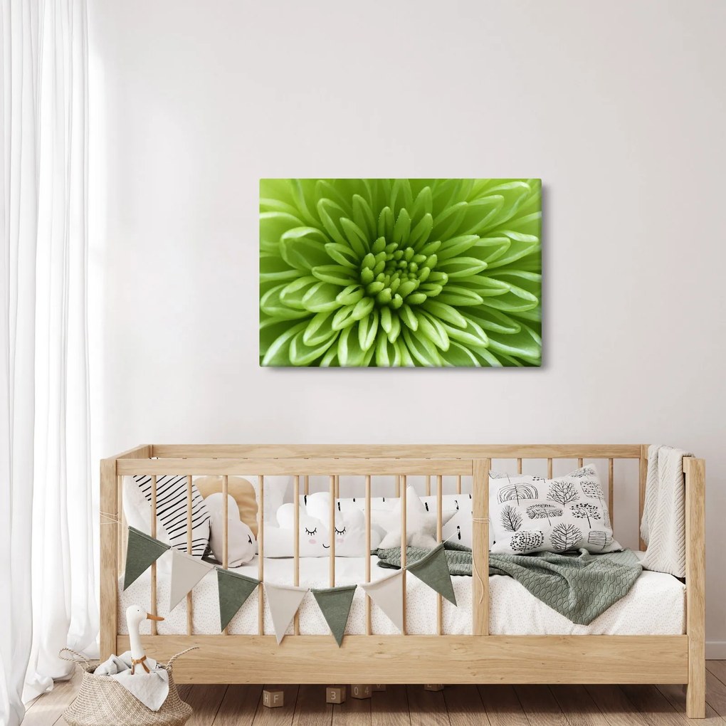 Kép - Makro kép egy növényről (90x60 cm)