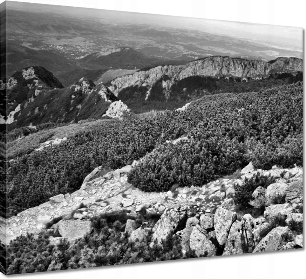 Vászonkép 50x40 Tátra Lengyel hegyek Kilátás