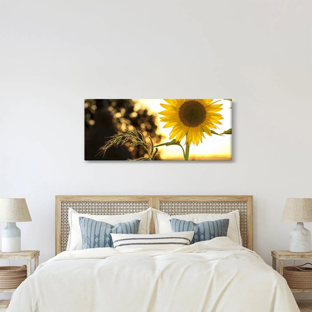 Napraforgó képe (120x50 cm)