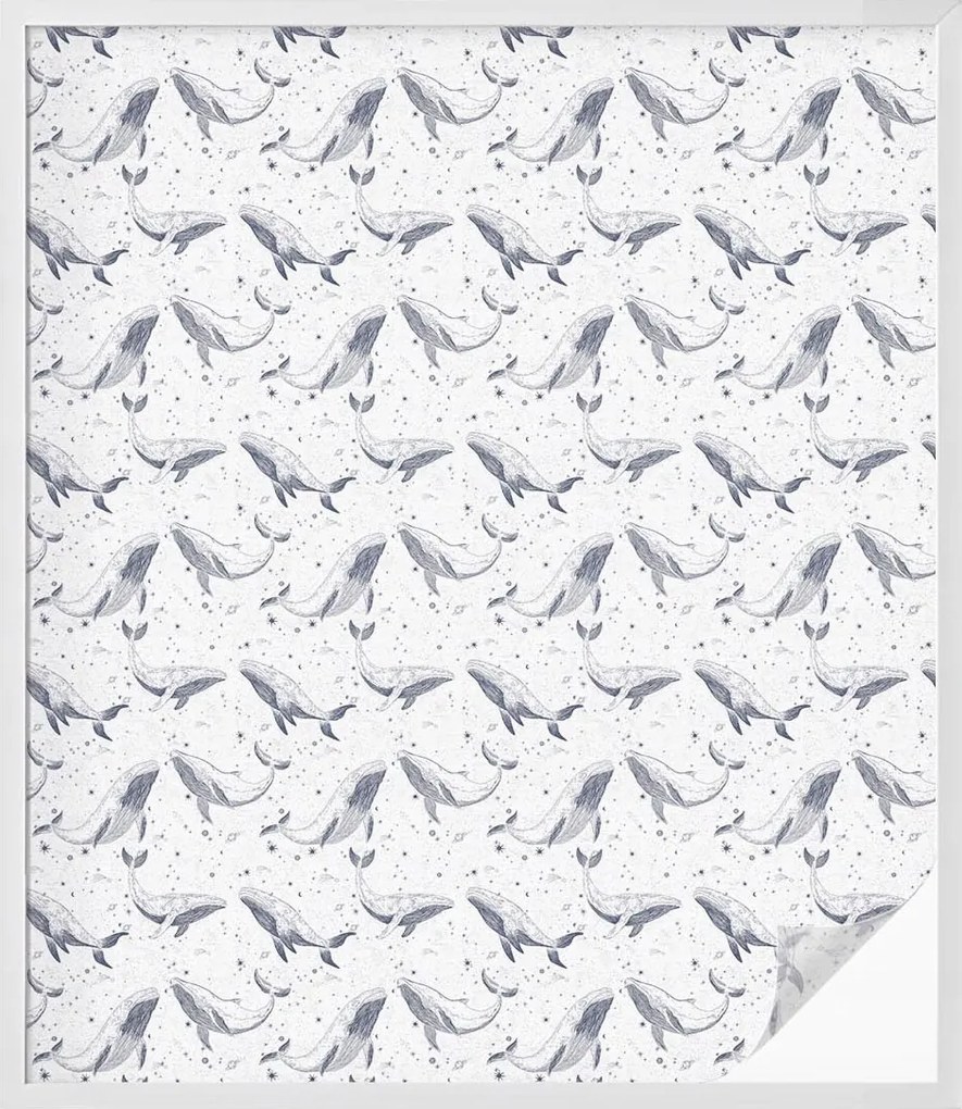 Szélvédőfólia Ablakvédő Magánszféra Tengeri lények 100x116