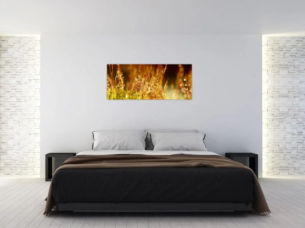 Kép - Harmat részlete (120x50 cm)