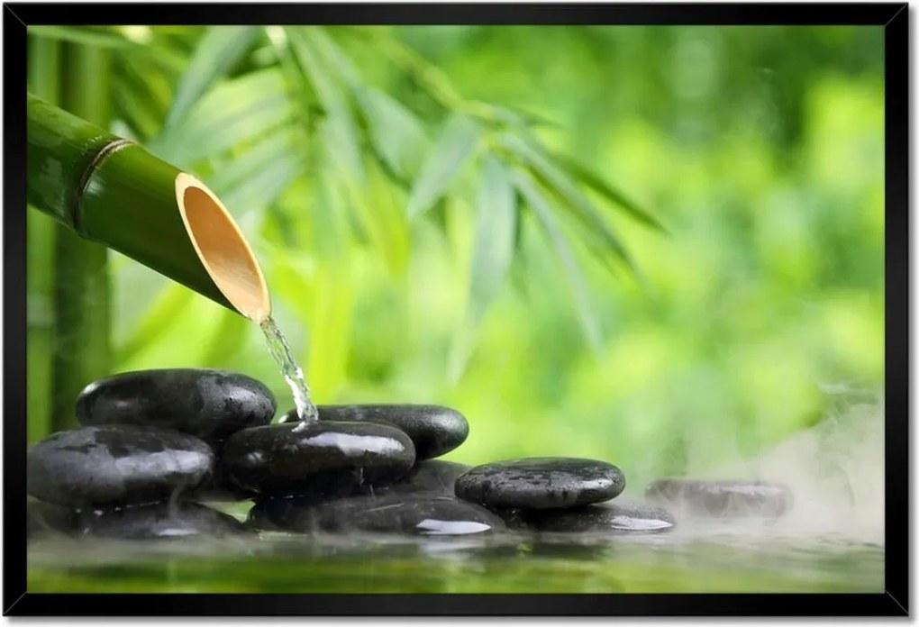 Poszter keretben 60x40 Sanus per aquam Forrás