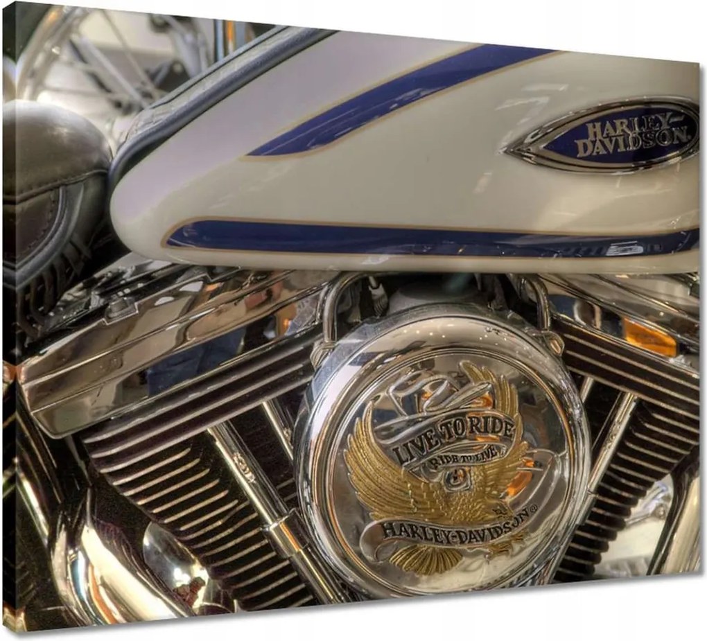 Vászonkép 50x40 Harley Davidson Motorkerékpár