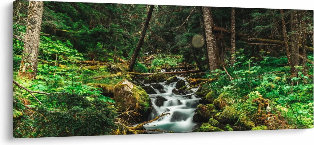 Patak képe az erdőben (120x50 cm)