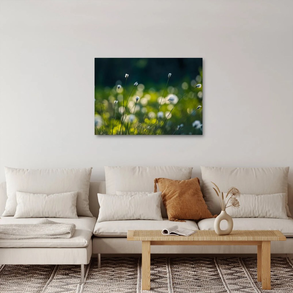 Kép - Fű (70x50 cm)