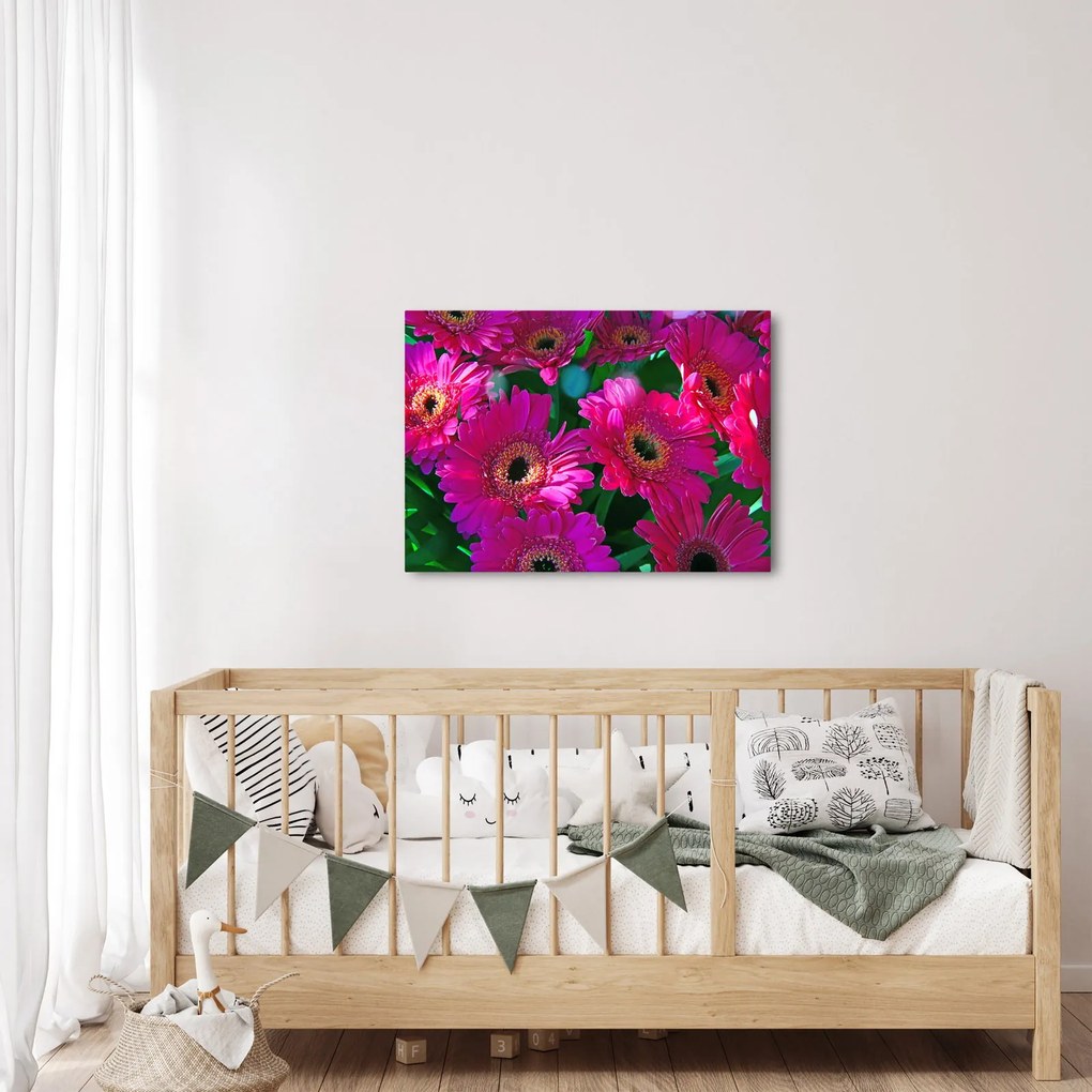 Kép - virágok (70x50 cm)