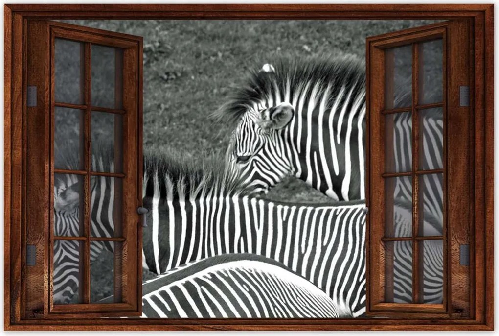 Poszterek 60x40 Zebra csíkok