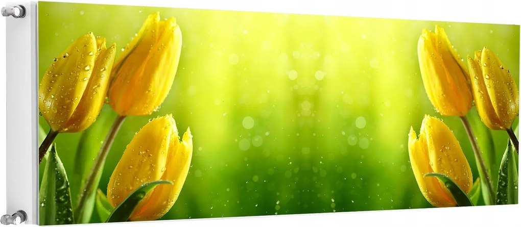 Mágneses Radiátorszőnyeg 160x60 Tulipán Fotótapéta