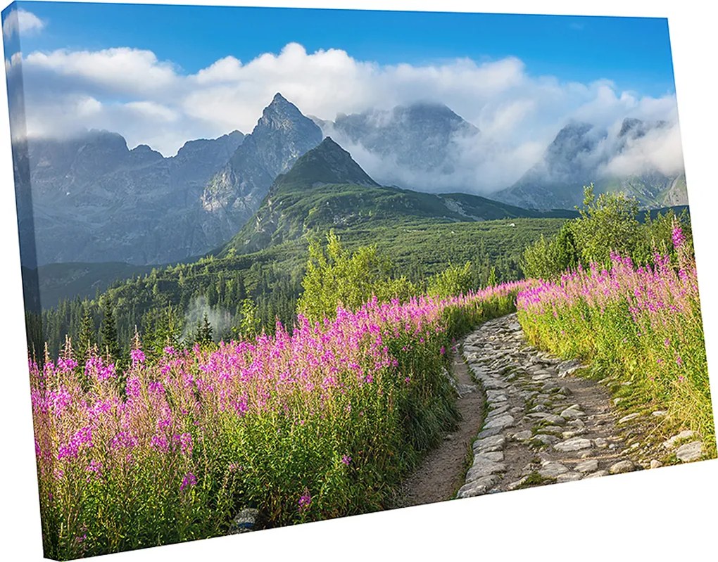 Vászonkép Tátra hegy Lánctalpas csarnok 70x50