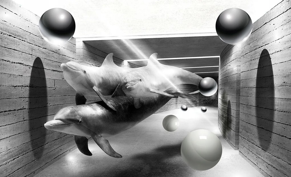 Fotótapéta Alagutak Delfinek Gömbök vinil illúzió 254x184 +ragasztó