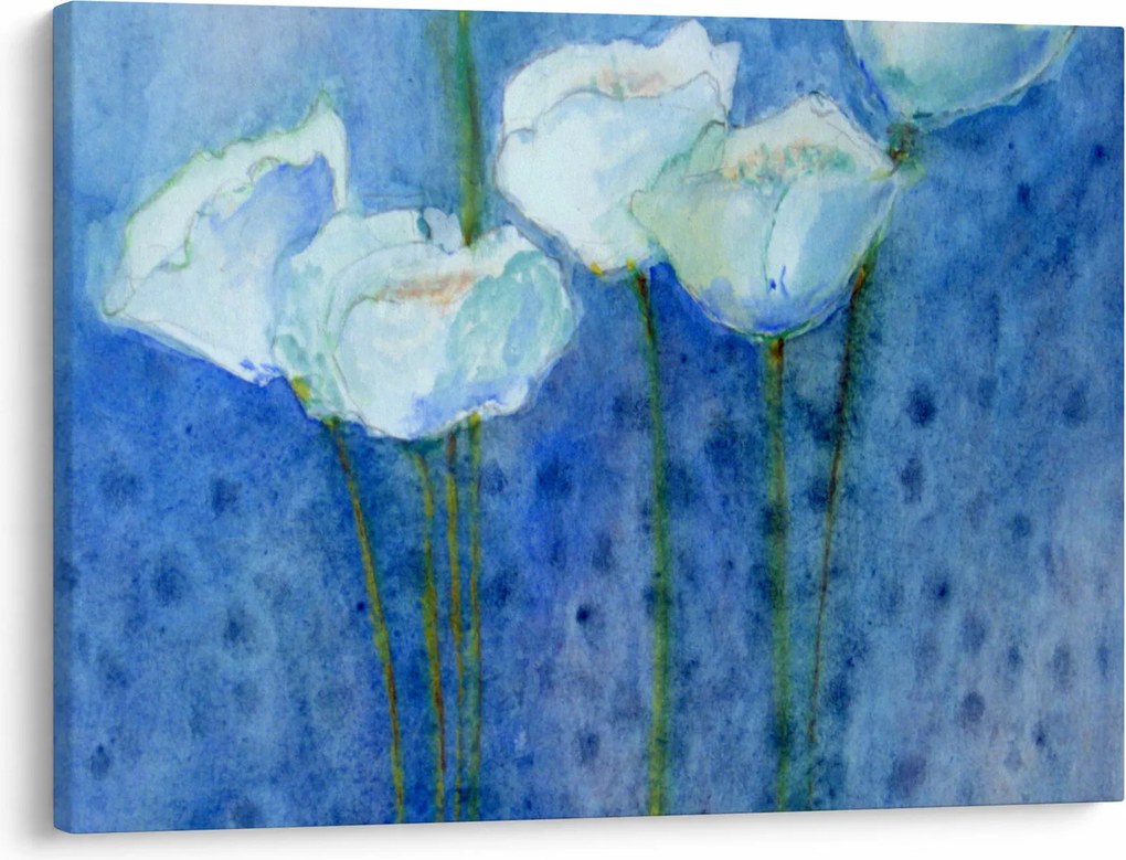 Kép - fehér tulipán (70x50 cm)