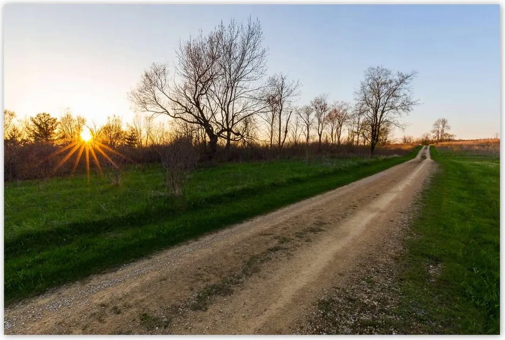 Poszterek 120x80 Mező út Fák Mezők