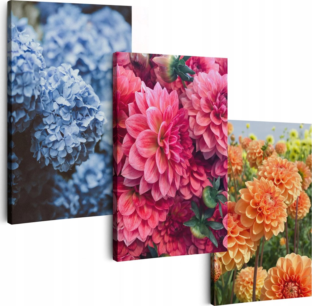 Vászonkép 150 cm **többféle minta** Képek A Nappaliba Triptichon Virágok