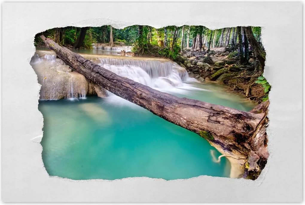 Poszterek 120x80 Kidőlt fa