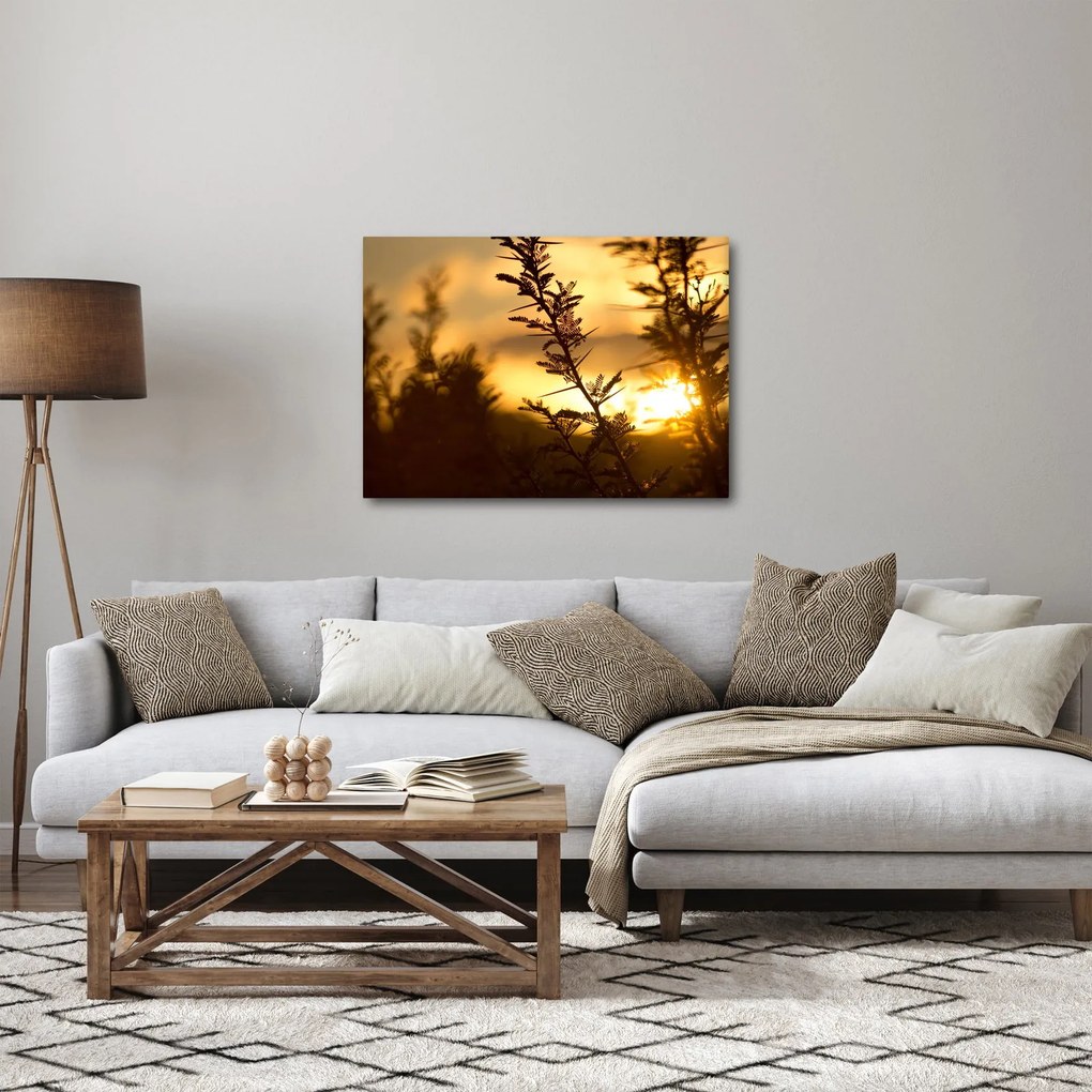 Kép - A nap lenyugszik a fák mögött (70x50 cm)