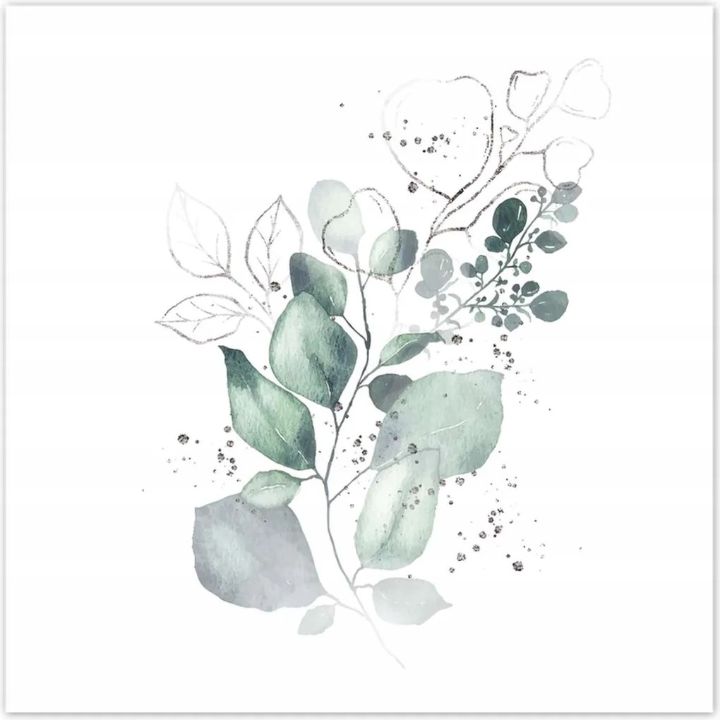 Poszterek 70x70 Eukaliptusz ág