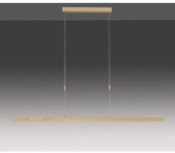 Paul Neuhaus 2568-60 - LED dimmelhető csillár zsinóron ADRIANA LED/14W/230V réz