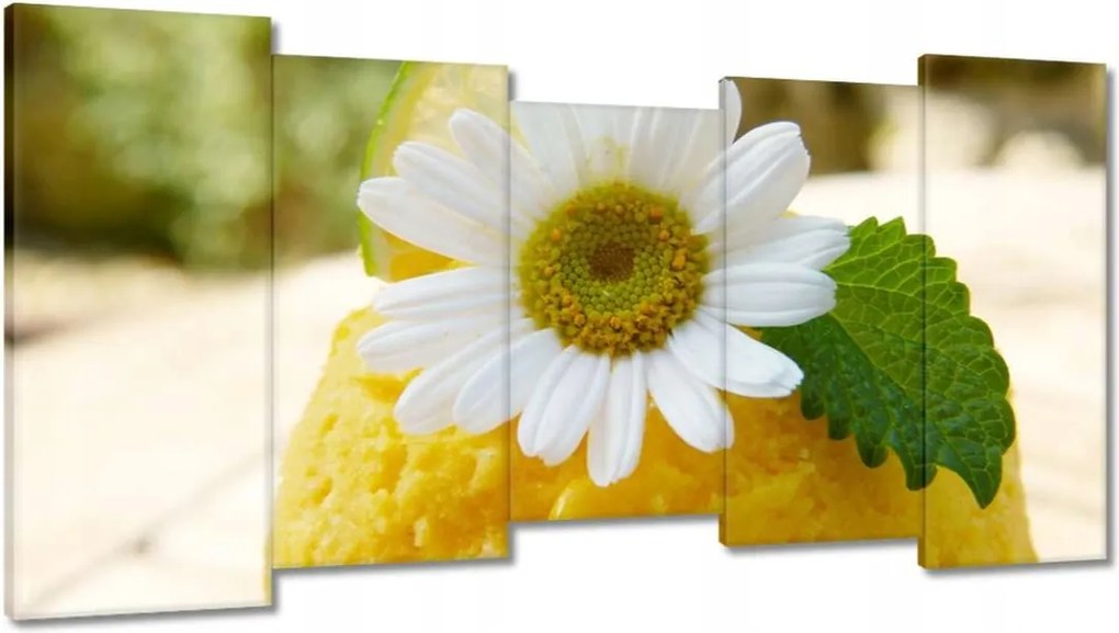 Vászonkép 150x80 Gyümölcsös sárgabarack fagylalt