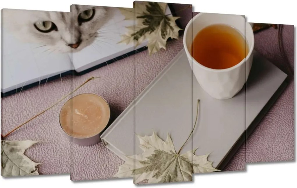 Vászonkép 100x60 Cica Cicák