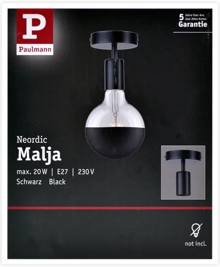 Paulmann 79760 - Mennyezeti lámpa HALDOR 1xE27/20W/230V