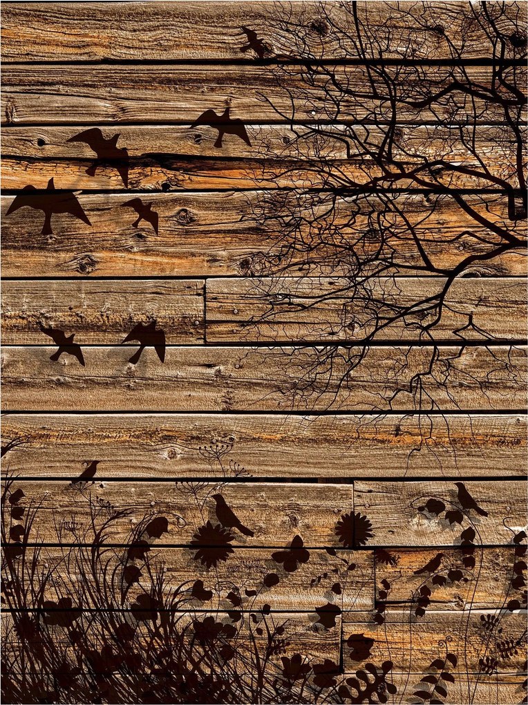 Fotótapéta Fa Deszka Madarak Természet Stílus Otthon 206x275 virágok +ragasztó