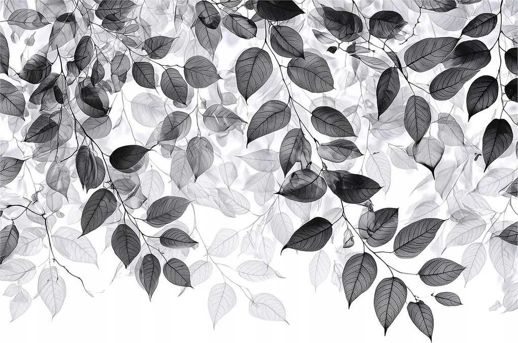 Fotótapéta fekete-szürke levelek modern fali dekoráció szürke fekete
