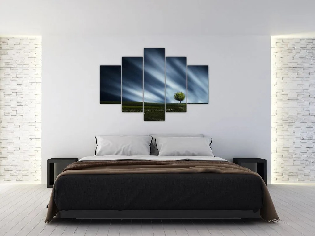 Az aurora borealis képe egy lápvidéken (150x105 cm)