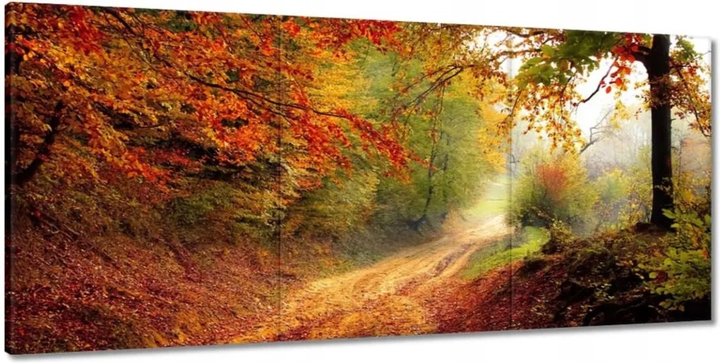 Képek 210x100 Út az erdőben ősz