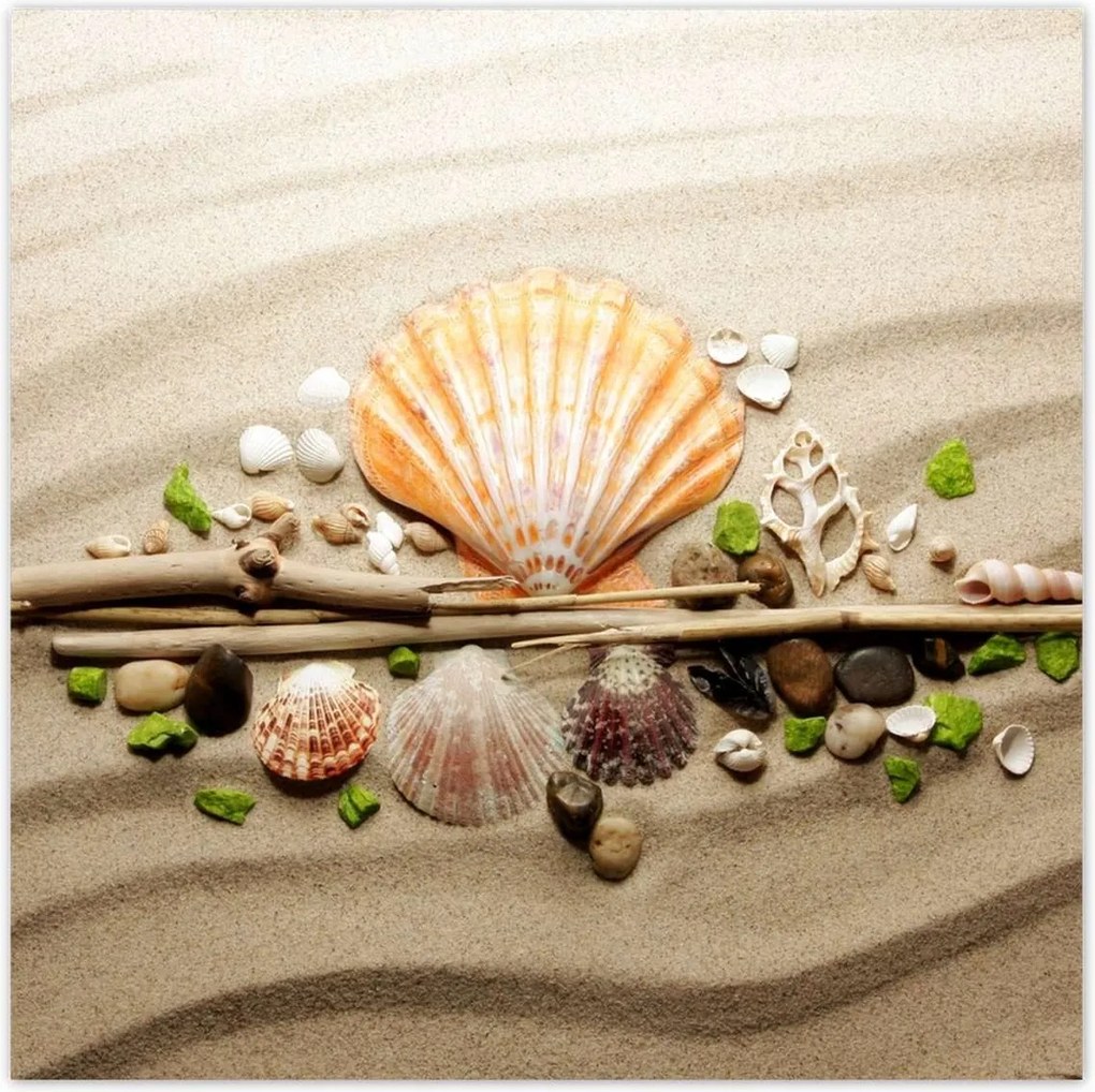 Poszterek 140x140 Kagylók Tengeri homok