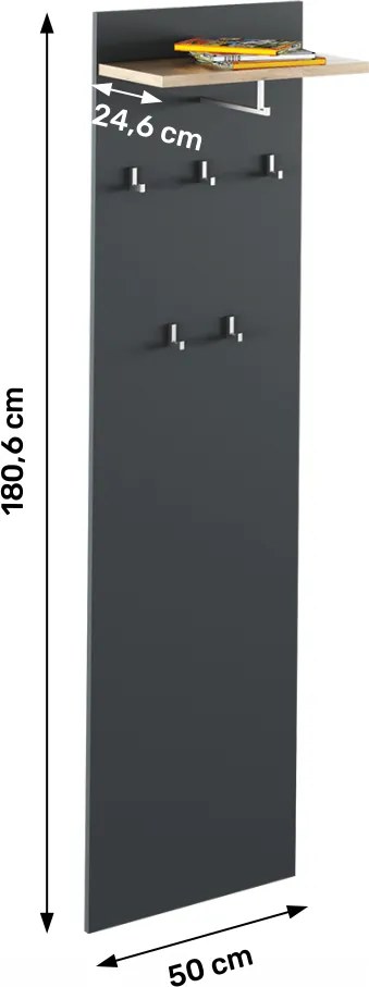 Fogas panel, grafit/tölgyfa artisan, RIOMA NEW TYP 19