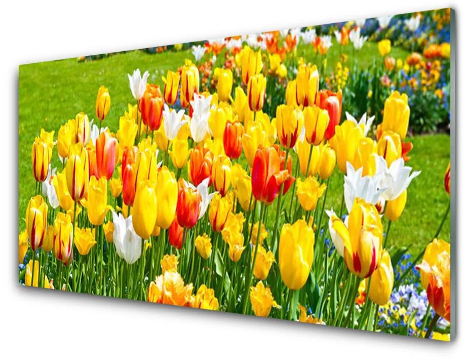 Fali üvegkép Tulipán virágok természet 140x70 cm