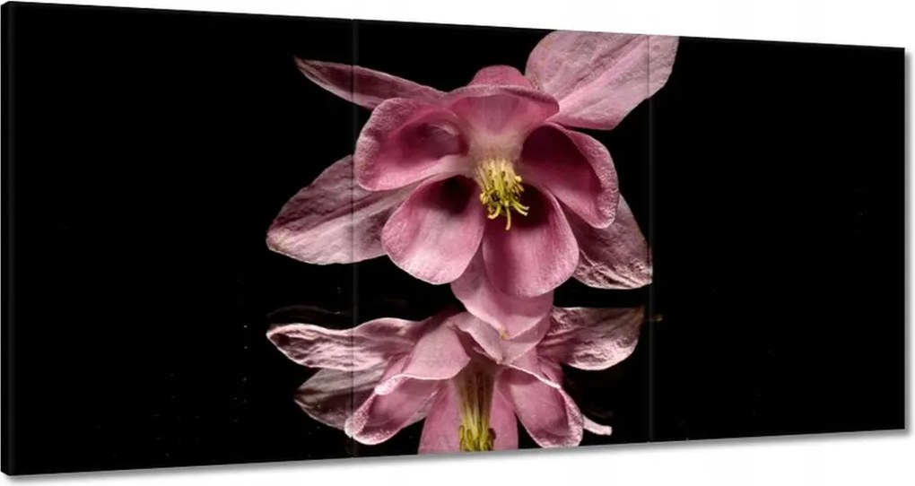 Vászonkép 120x60 Nőnap Ajándék Love