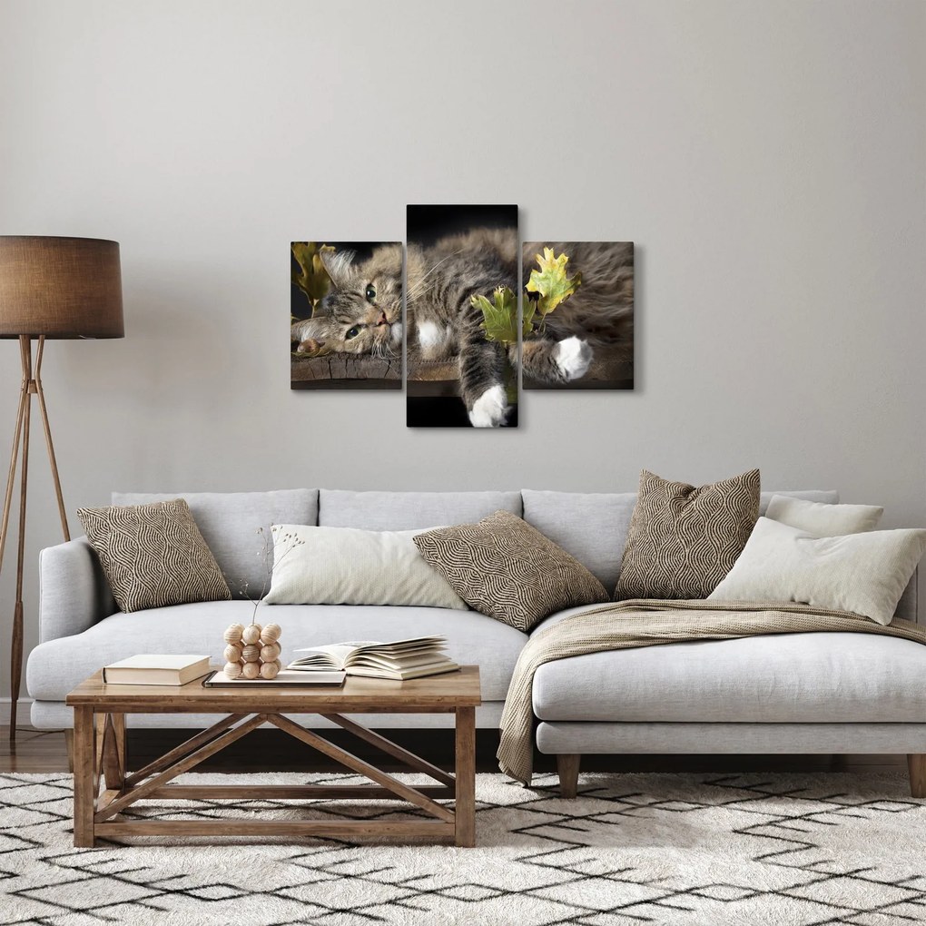 Kép - Hazudós macska (90x60 cm)
