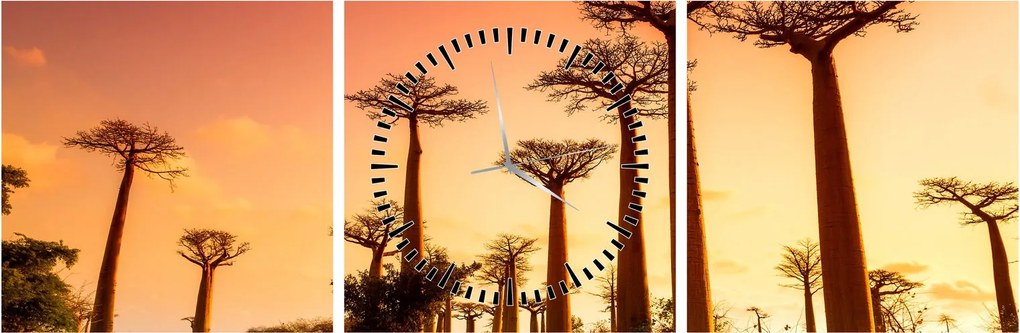 Kép - Naplemente a Baobab Alley-ben (órával) (90x30 cm)