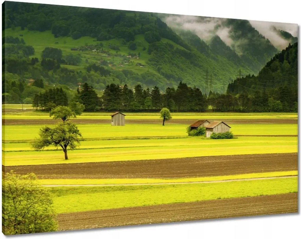 Vászonkép 100x70 Zöld őzek