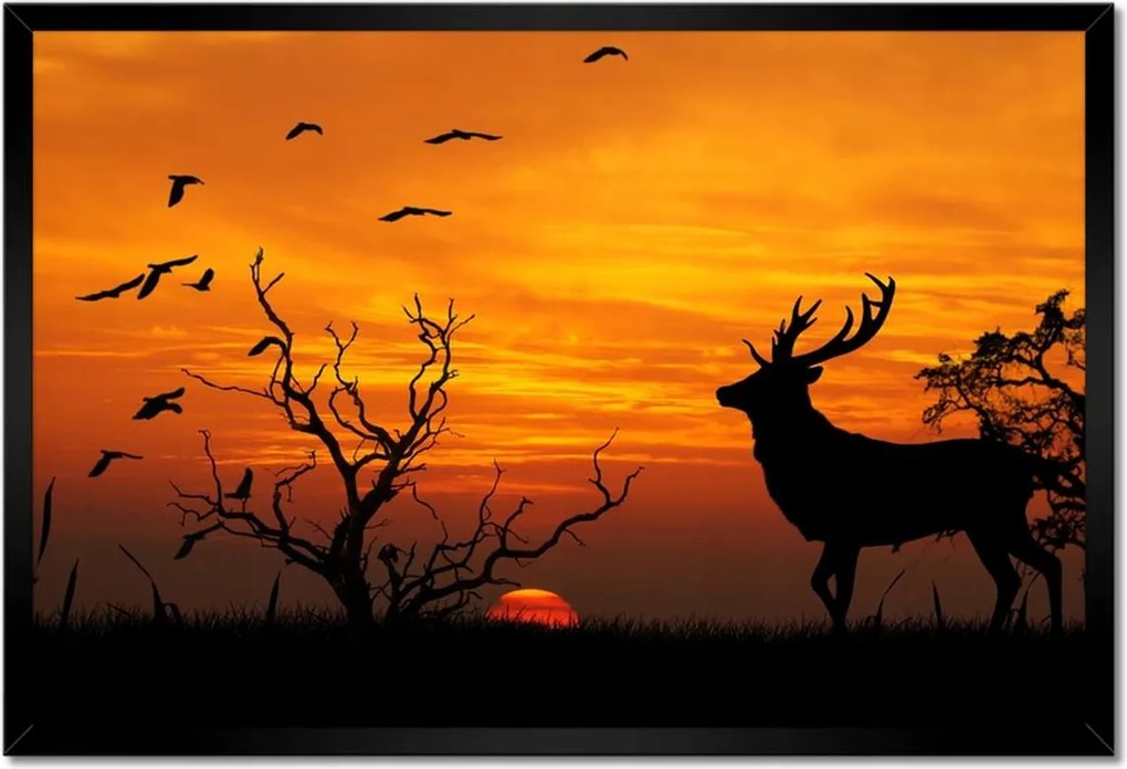 Poszterek keretben 60x40 Szarvas és naplemente