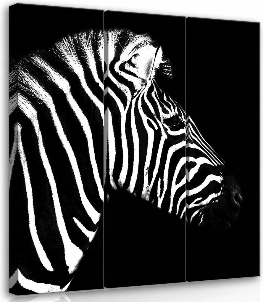 Vászonkép 90x100 Zebra csíkos fekete-fehér kontraszt elegancia stílus természet