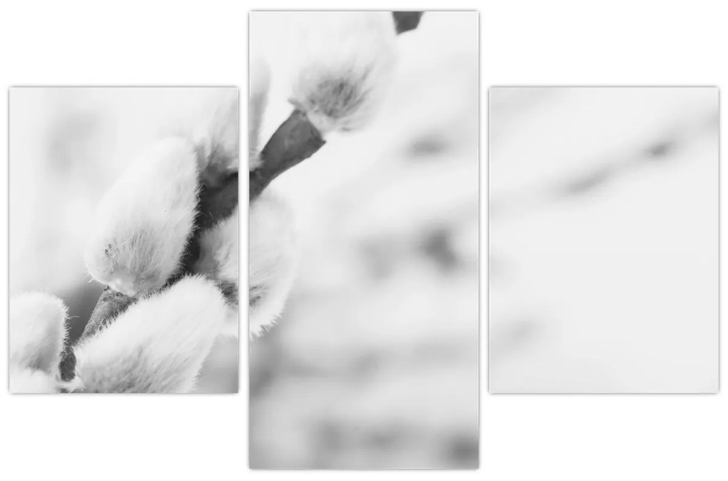 Kép - A tavasz kezdete (90x60 cm)