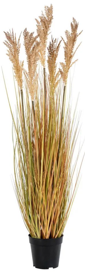 Cirokfű műnövény 110 cm