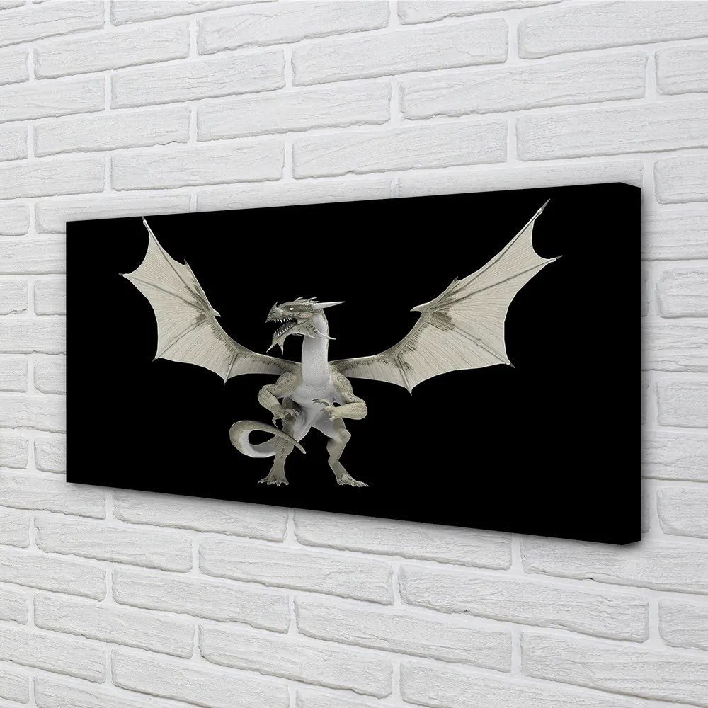 Canvas képek fehér sárkány 100x50 cm
