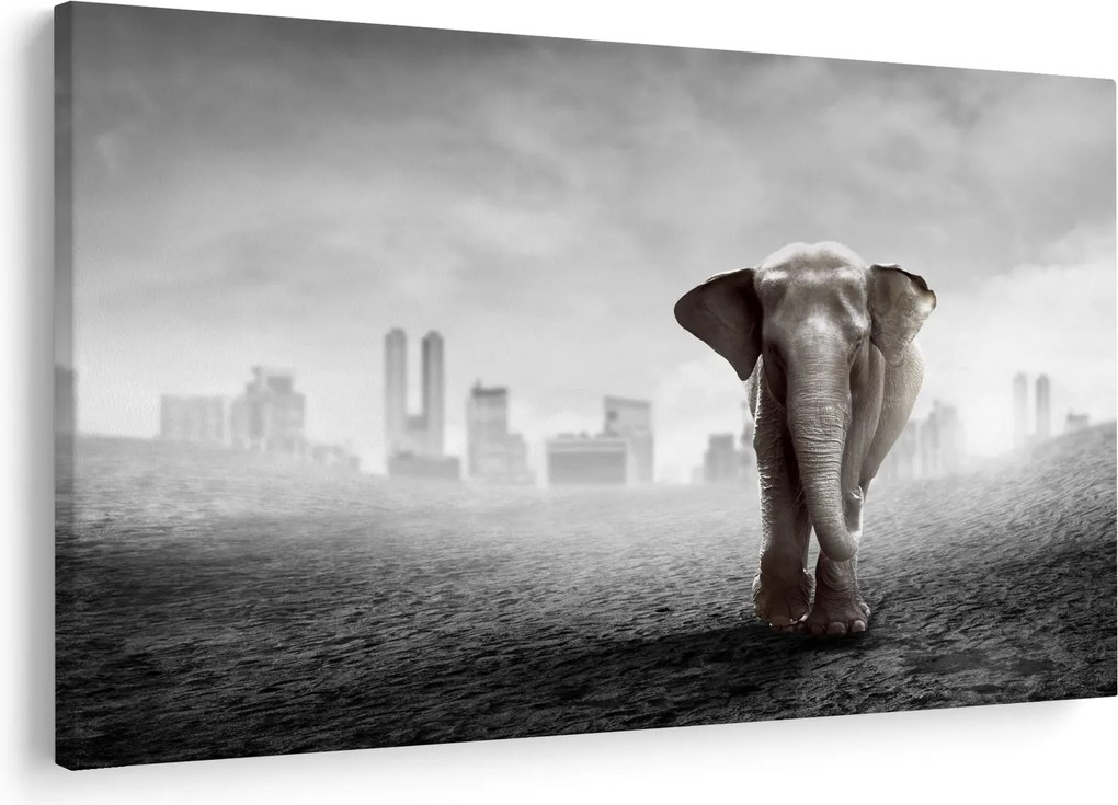 Kép -Elefánt egy nagyvárosban, fekete-fehér változat (90x60 cm)