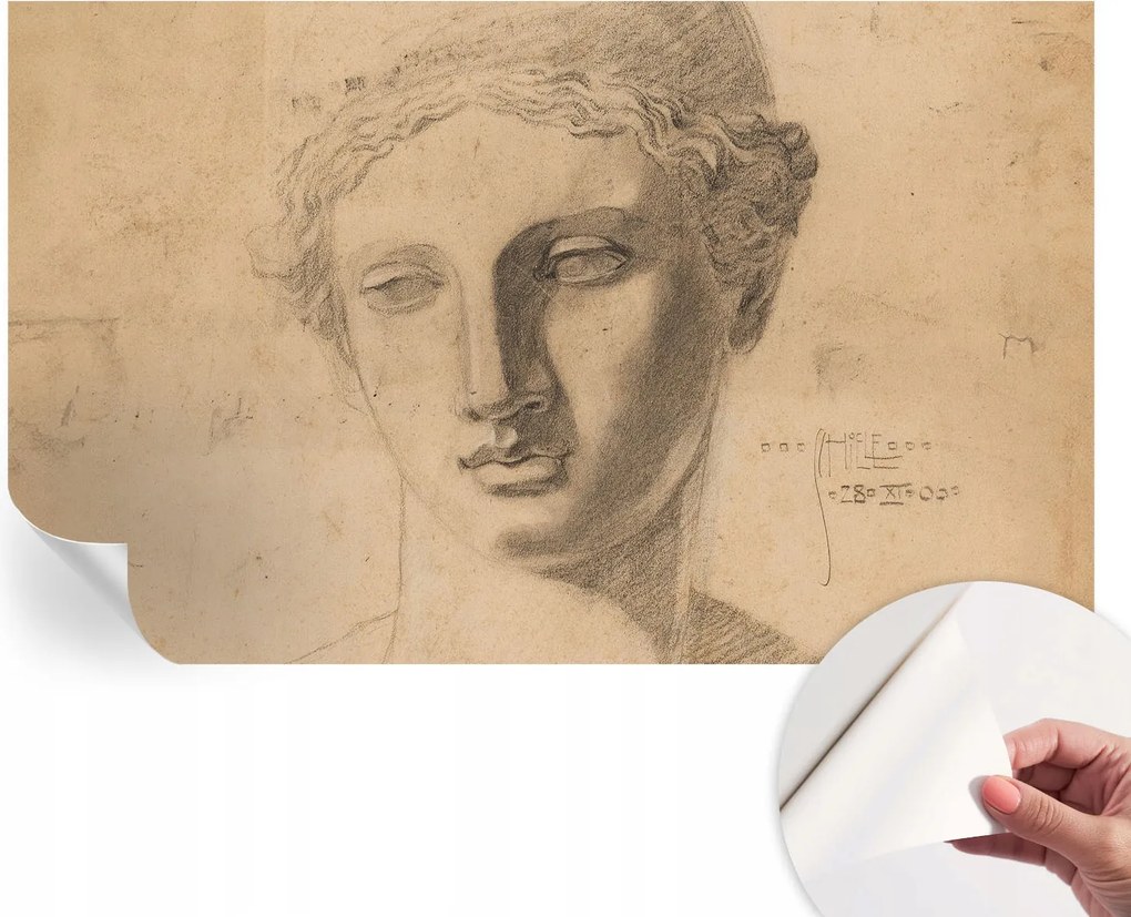 Öntapadós Dekoratív Fotótapéta Hálószobába Női portré 416x254 cm