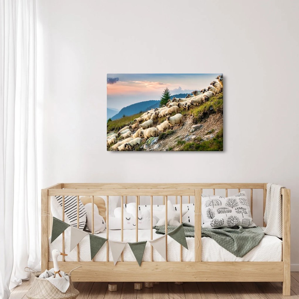 Kép - Egy nyáj birka (90x60 cm)