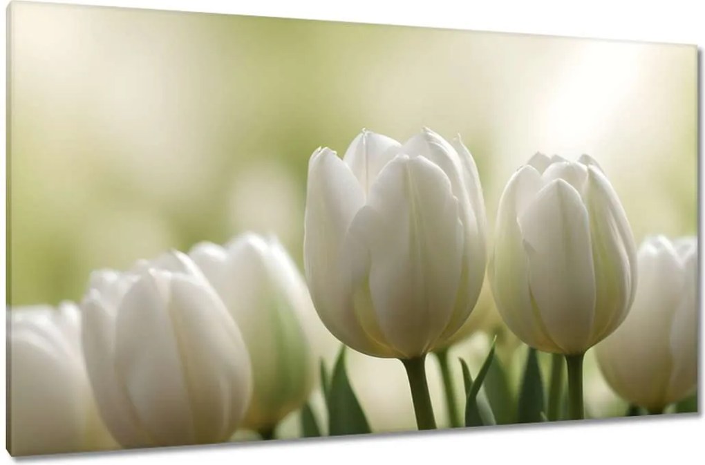 Vászonkép 120x70 Fehér tulipánok