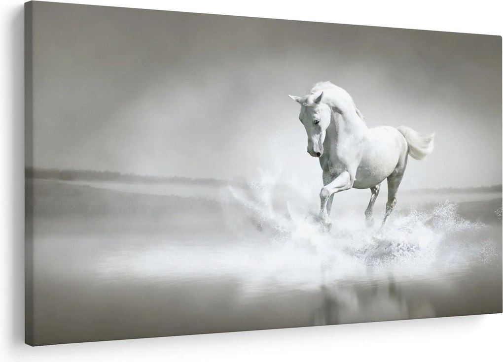 Kép - Fehér ló (90x60 cm)