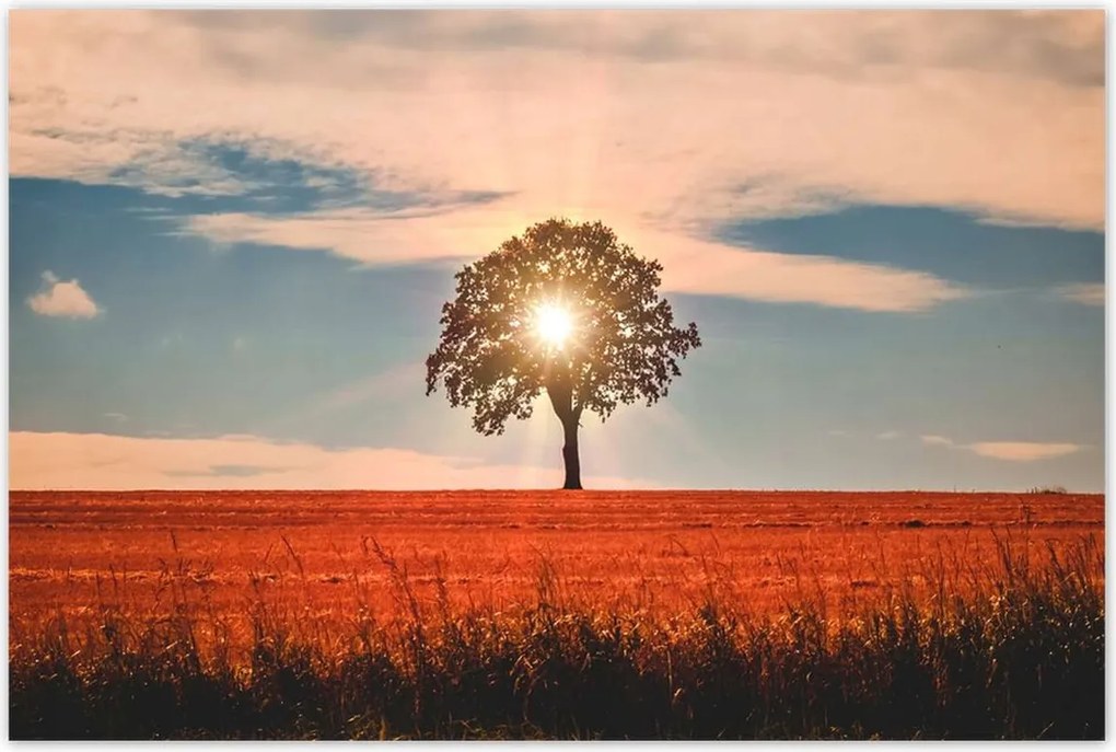 Poszterek 120x80 Kilátás Tájkép