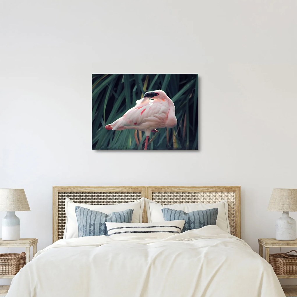 Kép - Flamingó (üvegen) (70x50 cm)