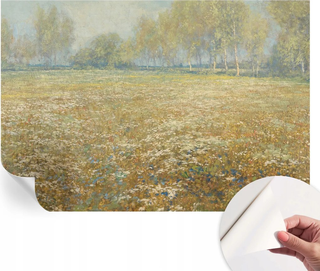 Öntapadós fotótapéta Nappaliba és Hálószobába Virágzó mező 152x104