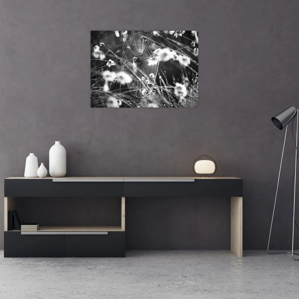 Kép - Pókháló a réten (70x50 cm)